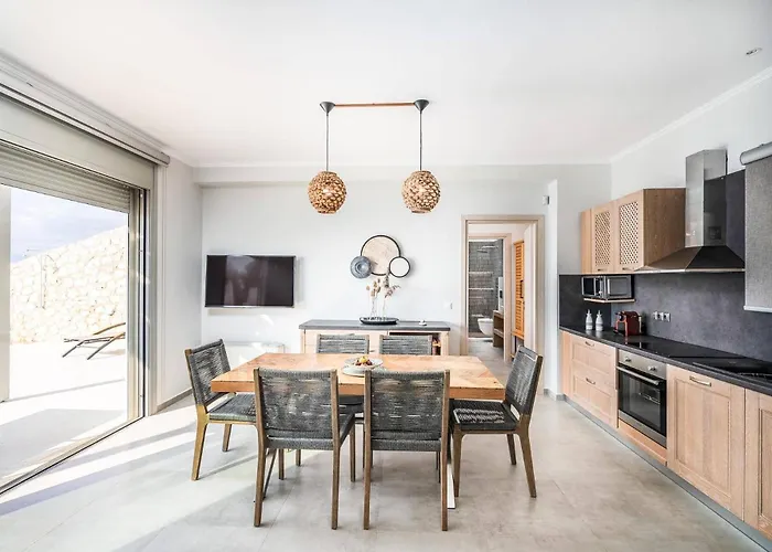 Owls Secret By Villa Drymon